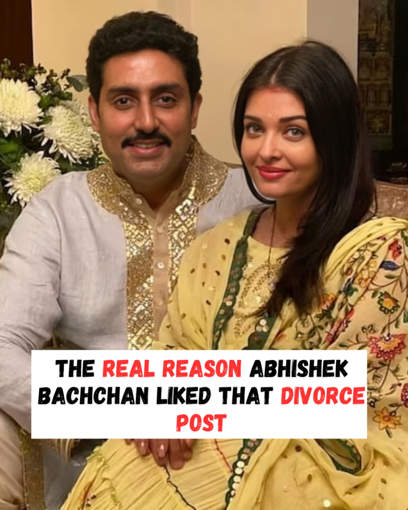 The Real Reason Abhishek Bachchan Liked That Divorce Post