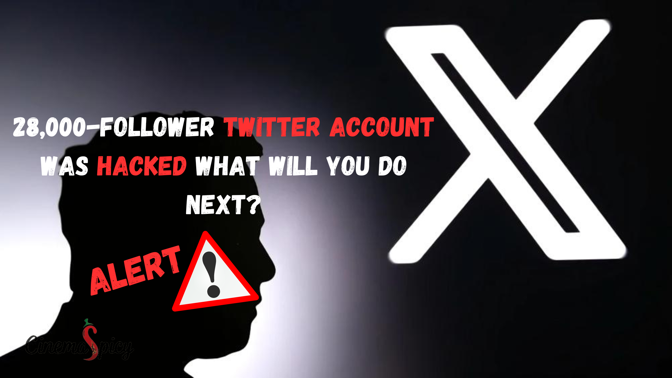 28,000-follower Twitter account hacked what will you do next?