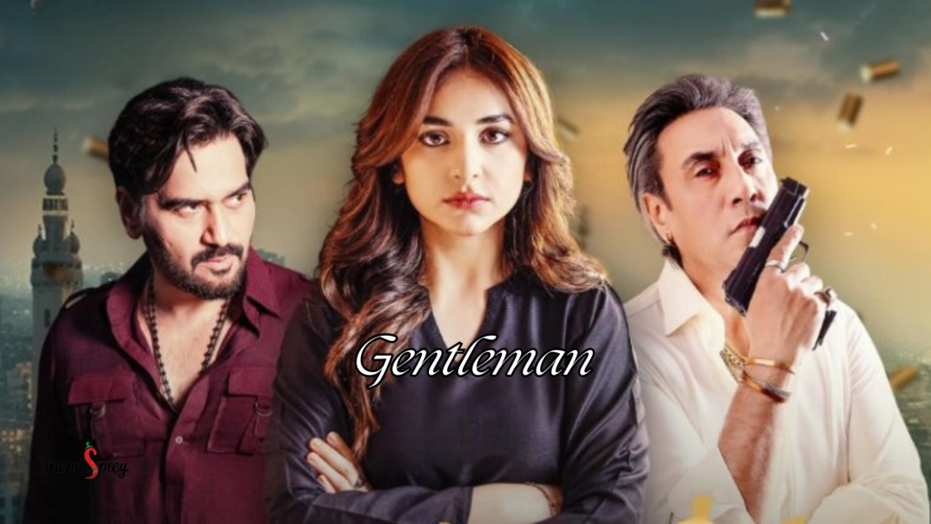 Top 19 Pakistani Dramas 2024 You Must Be Watch