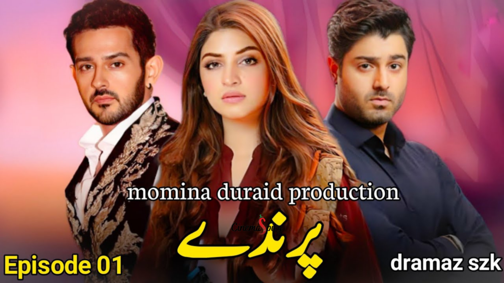 Top 19 Pakistani Dramas 2024 You Must Be Watch