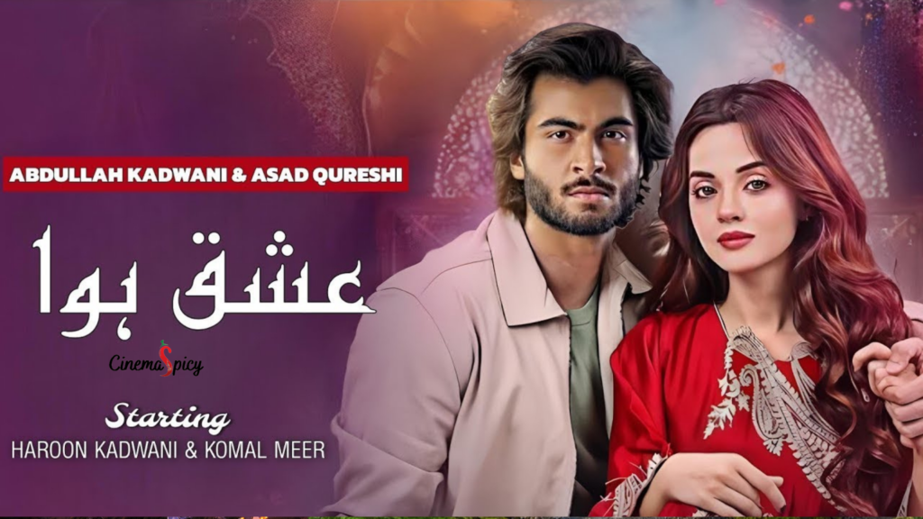 Top 19 Pakistani Dramas 2024 You Must Be Watch