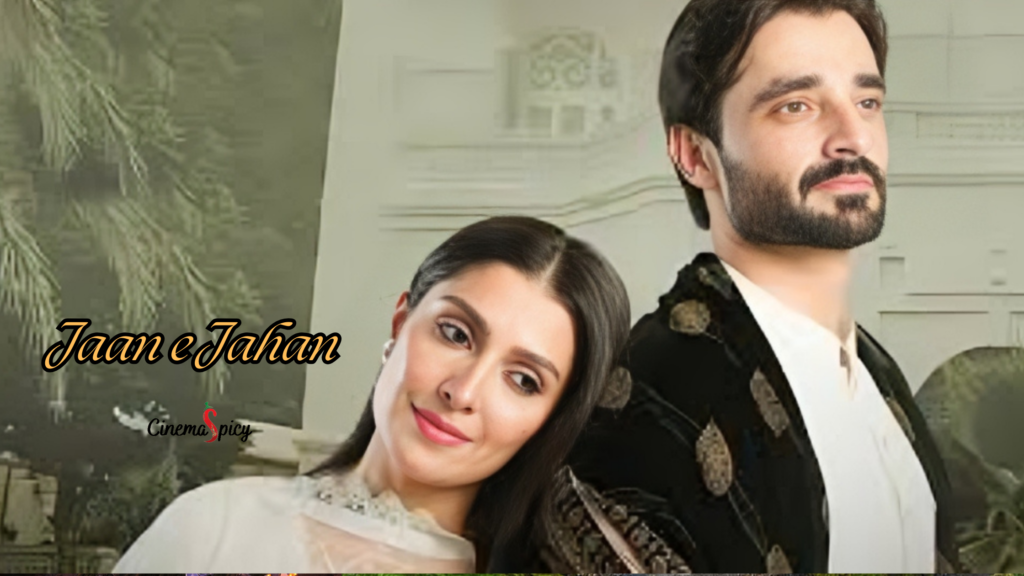 Top 19 Pakistani Dramas 2024 You Must Be Watch