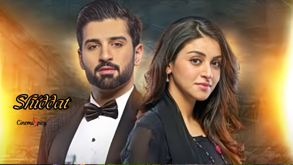 Top 19 Pakistani Dramas 2024 You Must Be Watch