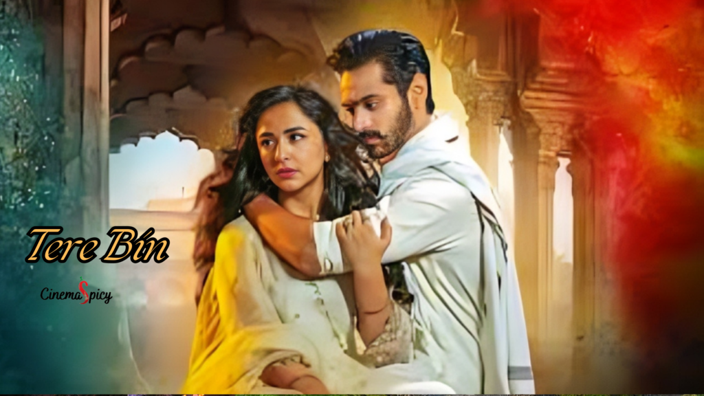 Top 19 Pakistani Dramas 2024 You Must Be Watch