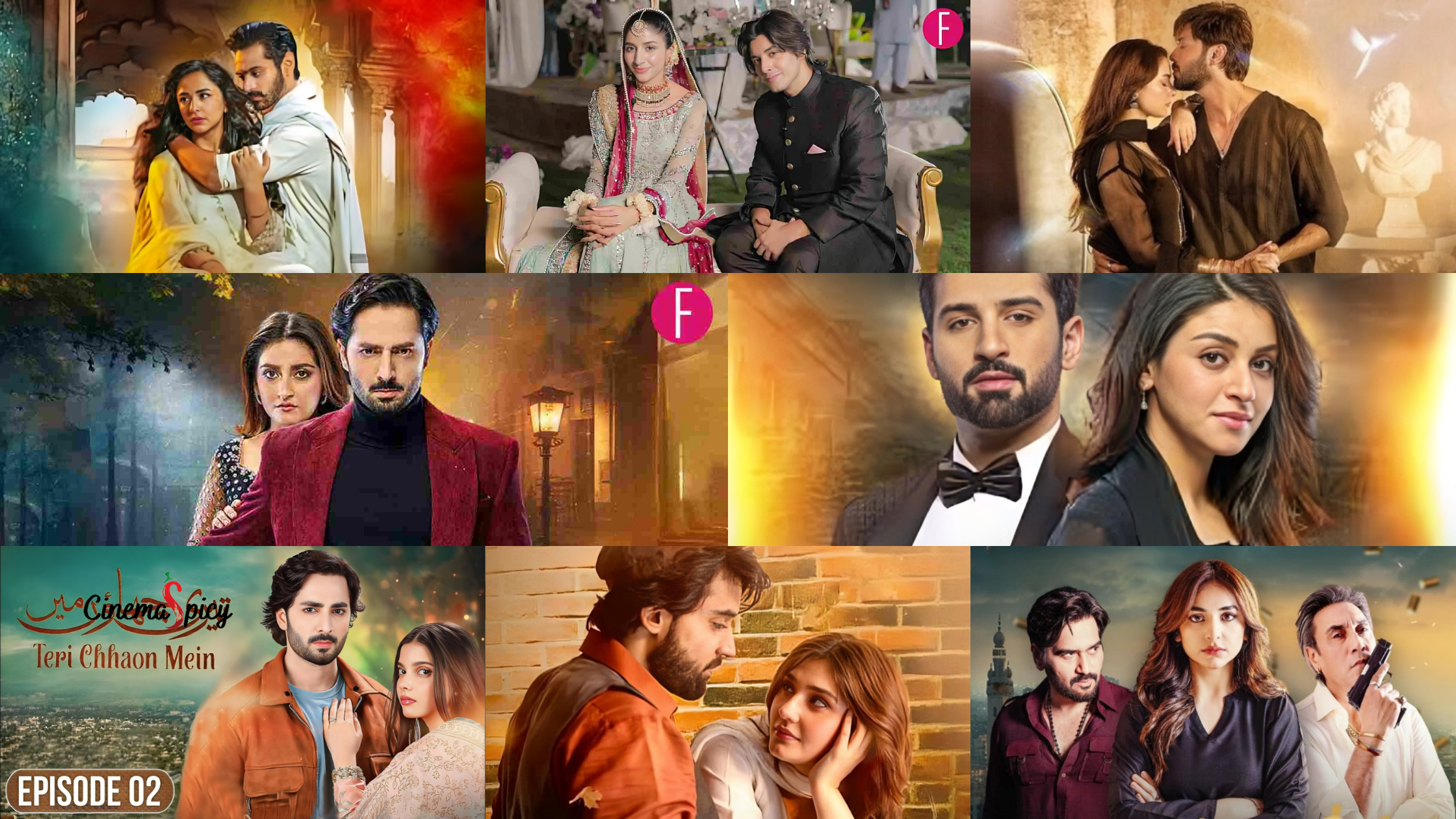 Top 19 Pakistani Dramas 2024 You Should Be Watch